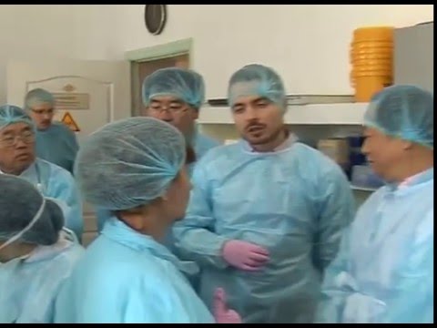 Визит ветеринаров из Китая