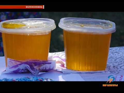Фестиваль-ярмарка «Волоконовский медовый пир»