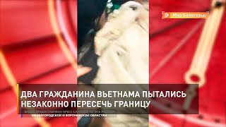 Два гражданина Вьетнама пытались незаконно пересечь границу 