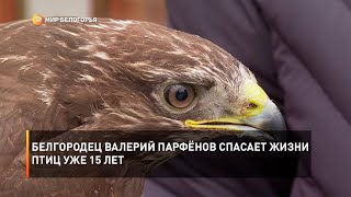 Белгородец Валерий Парфёнов спасает жизни птиц уже 15 лет