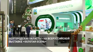 Белгородская область – на всероссийской выставке «Золотая осень»