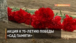 Акция «Сад памяти» стартовала в Белгородской области
