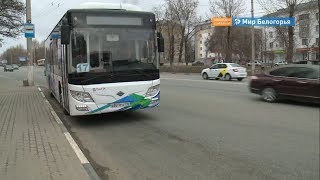 Ночные маршруты появятся в Белгороде