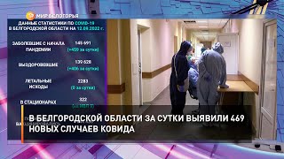 В Белгородской области за сутки выявили 469 новых случаев ковида