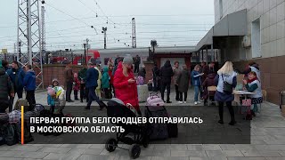 Первая группа белгородцев отправилась в Московскую область