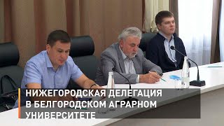 Нижегородская делегация в Белгородском аграрном университете