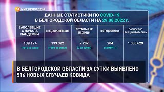 В Белгородской области за сутки выявлено 516 новых случаев ковида