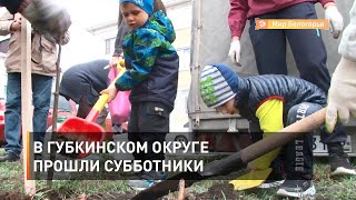 В Губкинском округе прошли субботники 