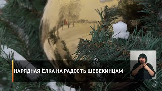 Нарядная ёлка на радость шебекинцам
