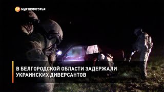 В Белгородской области задержали украинских диверсантов