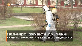 В Белгородской области открылась горячая линия по профилактике клещевого энцефалита