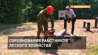 Соревнования работников лесного хозяйства