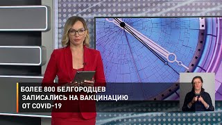 Более 800 белгородцев записались на вакцинацию от COVID-19