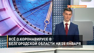 Всё о коронавирусе в Белгородской области на 28 января