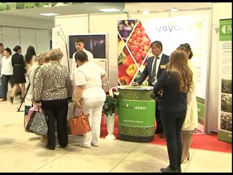 Белгородская компания IZOVOL AGRO продемонстрировала теплицу размером с человеческую ладонь
