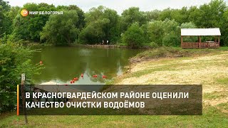 В Красногвардейском районе оценили качество очистки водоёмов