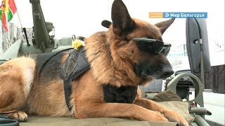 В БГТУ им. В.Г. Шухова отметили 23 февраля