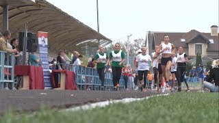 Спартакиада трудовых коллективов прошла в Чернянке