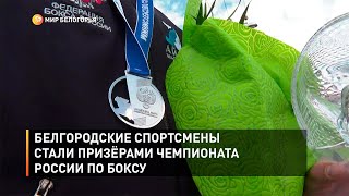 Белгородские спортсмены стали призёрами чемпионата России по боксу