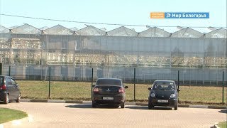 Кто чаще всего платит зарплату в конвертах