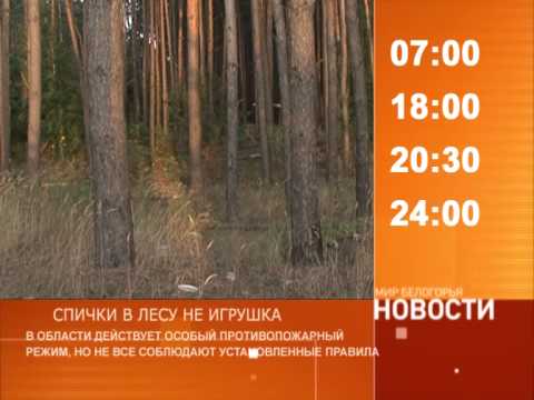 Смотрите на «Мире Белогорья» сегодня, 8 августа