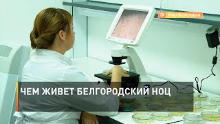 Чем живет белгородский НОЦ
