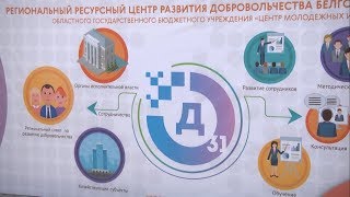 Поддержка волонтерства в Белгородской области