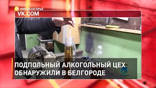 Подпольный алкогольный цех обнаружили в Белгороде 