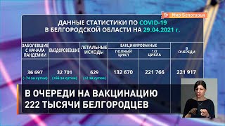 В очереди на вакцинацию 222 тысячи белгородцев