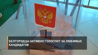 Белгородцы активно голосуют за любимых кандидатов
