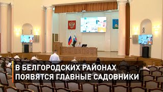 В белгородских районах появятся главные садовники