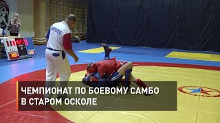 Чемпионат по боевому самбо в Старом Осколе