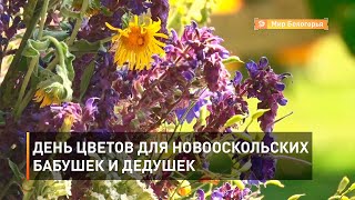 День цветов для новооскольских бабушек и дедушек