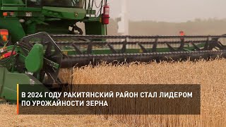 В 2024 году Ракитянский район стал лидером по урожайности зерна