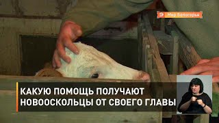 Какую помощь получают новооскольцы от своего главы
