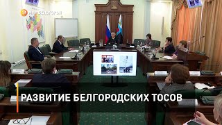 Развитие белгородских ТОСов 