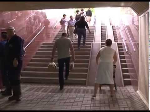«Мокрое дело» подземного перехода на Губкина