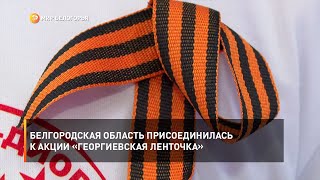 Белгородская область присоединилась к акции «Георгиевская ленточка»