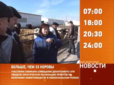 Смотрите на «Мире Белогорья» сегодня, 27 октября 