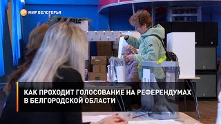 Как проходит голосование на референдумах в Белгородской области