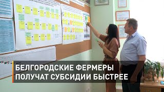 Белгородские фермеры получат субсидии быстрее