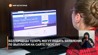 Белгородцы теперь могут подать заявление по выплатам на сайте Госуслуг