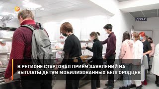 В регионе стартовал приём заявлений на выплаты детям мобилизованных белгородцев