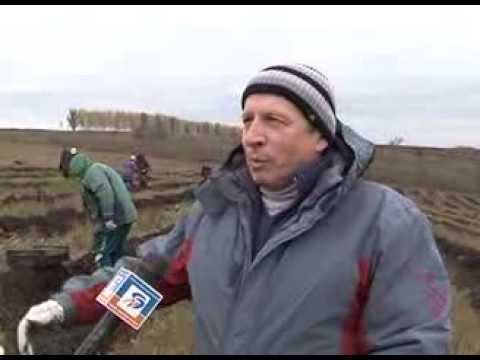 В Белгородской области прошла акция «Живи, лес!»