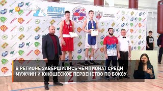 В регионе завершились Чемпионат среди мужчин и юношеское Первенство по боксу