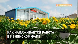 Как налаживается работа в ивнянском ФАПе 
