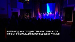В Белгородском государственном театре кукол прошёл спектакль для слабовидящих зрителей