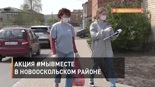 Акция «#МыВместе» в Новооскольском районе