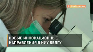 Новые инновационные направления в НИУ БелГУ