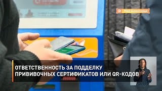 Ответственность за подделку прививочных сертификатов или QR-кодов